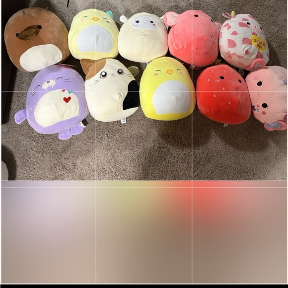 Medium Squishmallows - Picture 1 of 1